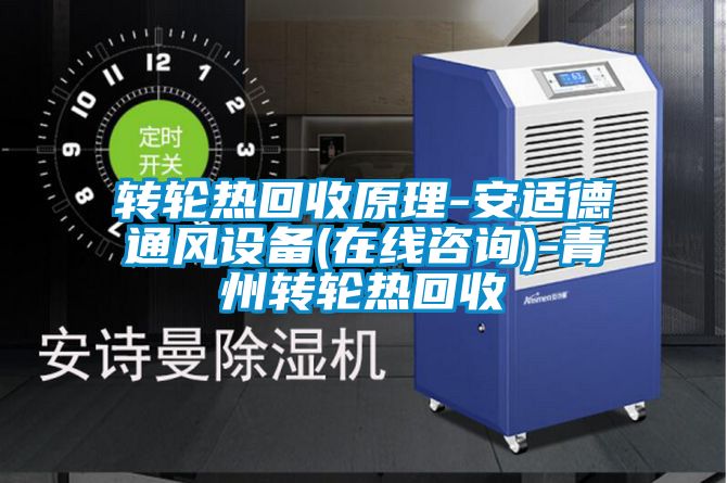 转轮热回收原理-安适德通风设备(在线咨询)-青州转轮热回收