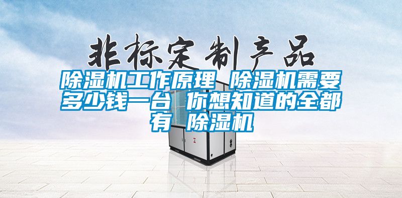 除湿机工作原理 除湿机需要多少钱一台 你想知道的全都有 除湿机