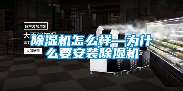 除湿机怎么样—为什么要安装除湿机