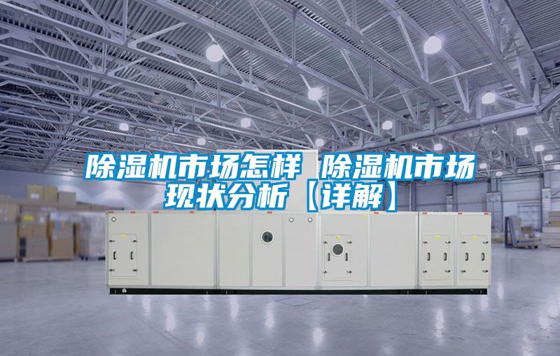 除湿机市场怎样 除湿机市场现状分析【详解】