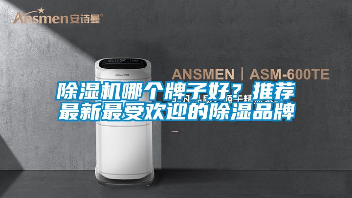 除湿机哪个牌子好？推荐最新最受欢迎的除湿品牌