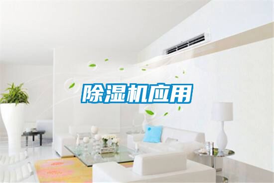 除湿机应用