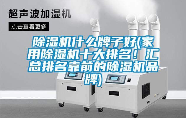 除湿机什么牌子好(家用除湿机十大排名！汇总排名靠前的除湿机品牌)