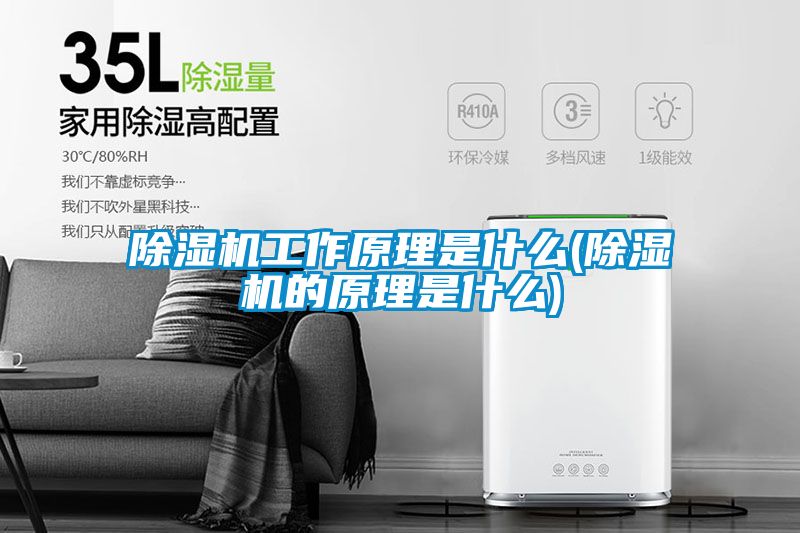 除湿机工作原理是什么(除湿机的原理是什么)