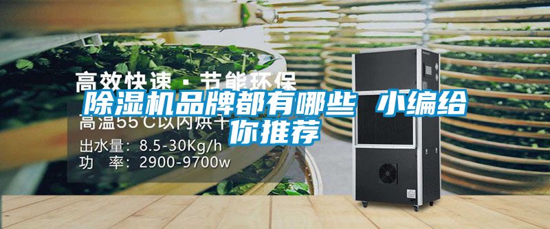 除湿机品牌都有哪些 小编给你推荐
