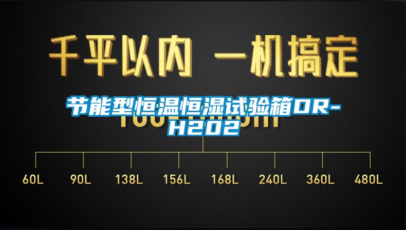 节能型恒温恒湿试验箱DR-H202