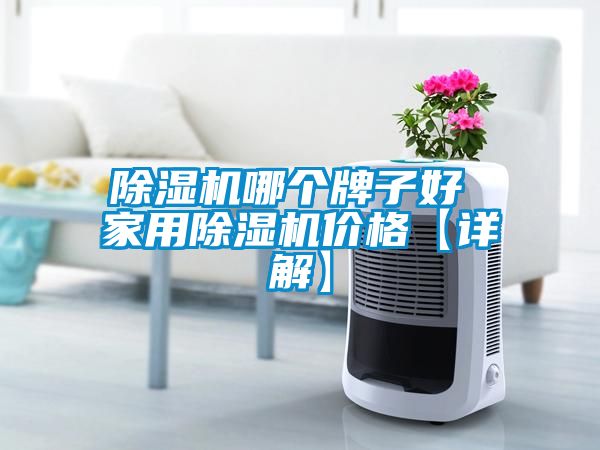 除湿机哪个牌子好 家用除湿机价格【详解】