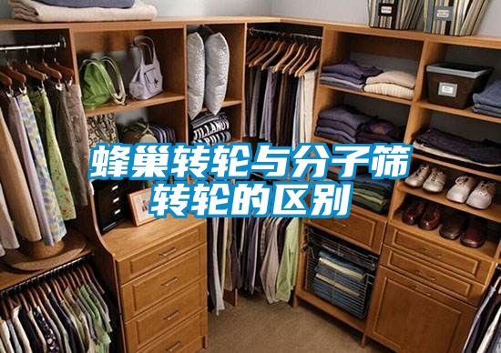 蜂巢转轮与分子筛转轮的区别