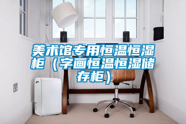 美术馆专用恒温恒湿柜（字画恒温恒湿储存柜）