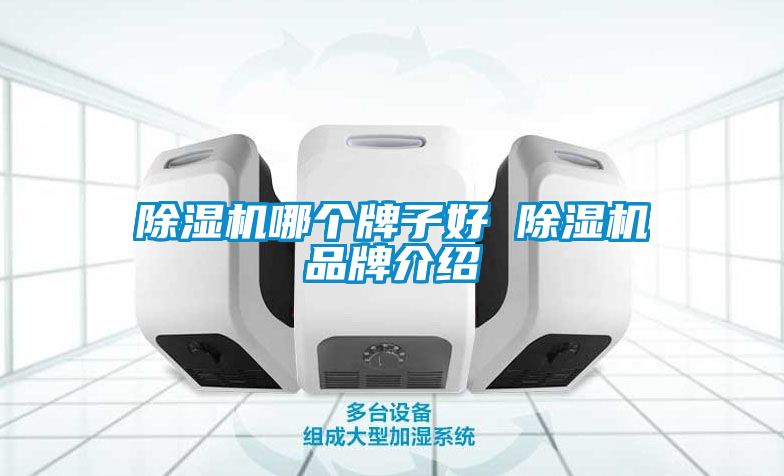 除湿机哪个牌子好 除湿机品牌介绍