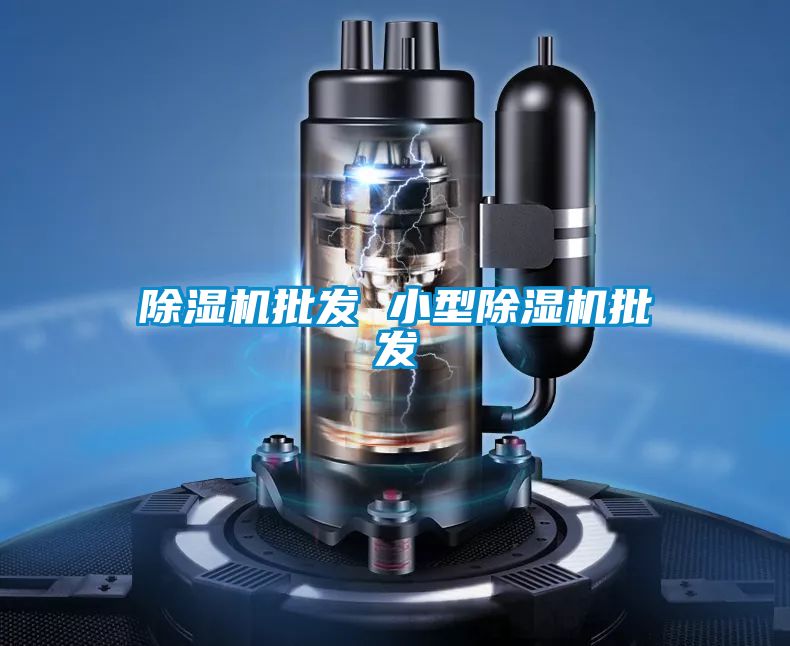 除湿机批发 小型除湿机批发