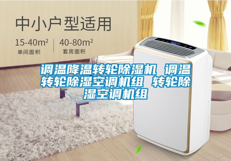 调温降温转轮除湿机 调温转轮除湿空调机组 转轮除湿空调机组