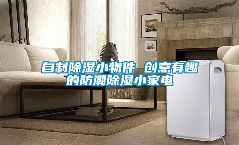 自制除湿小物件 创意有趣的防潮除湿小家电