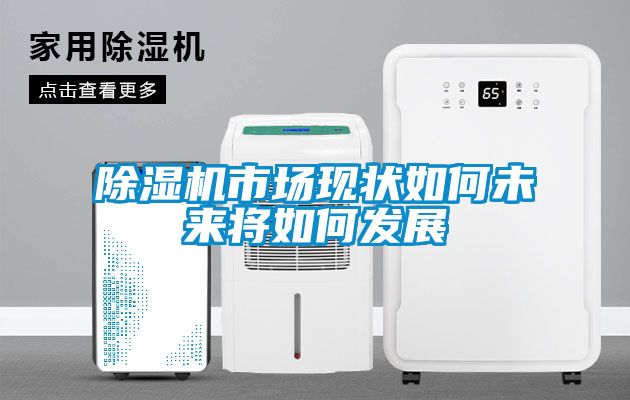 除湿机市场现状如何未来将如何发展