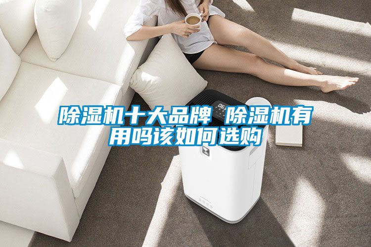 除湿机十大品牌 除湿机有用吗该如何选购