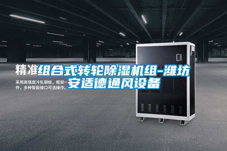 组合式转轮除湿机组-潍坊安适德通风设备