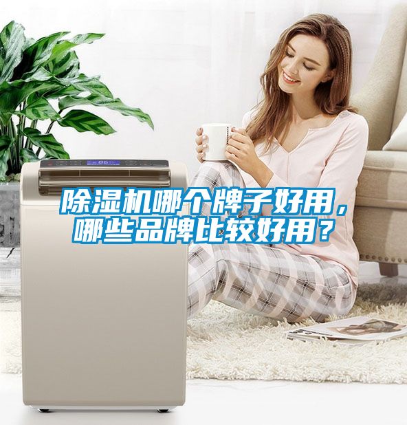 除湿机哪个牌子好用，哪些品牌比较好用？