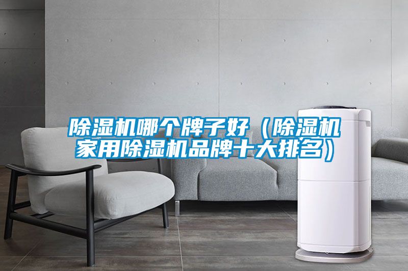 除湿机哪个牌子好（除湿机家用除湿机品牌十大排名）