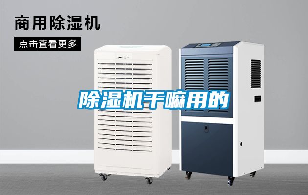 除湿机干嘛用的