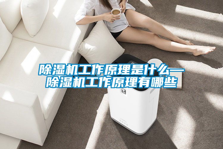 除湿机工作原理是什么—除湿机工作原理有哪些