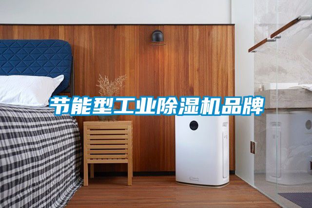 节能型工业除湿机品牌