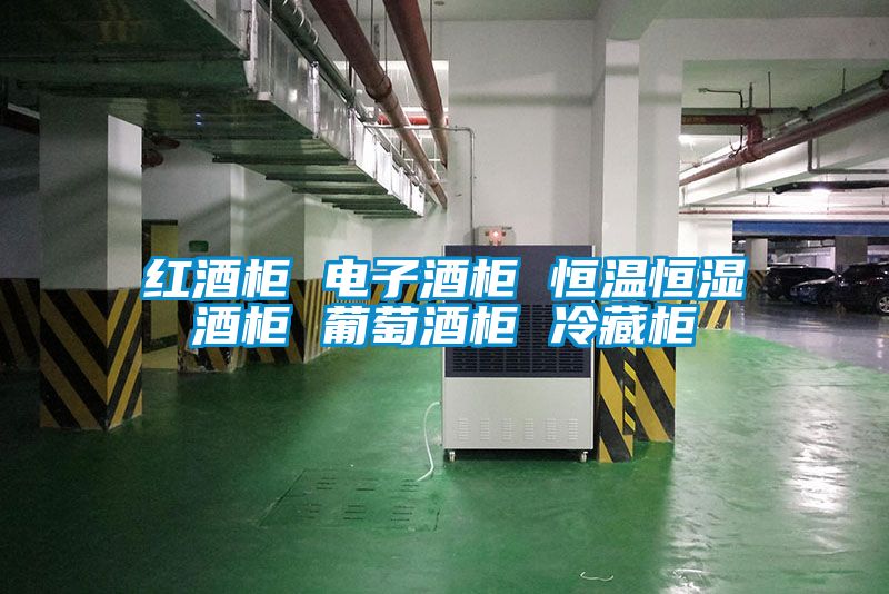 红酒柜 电子酒柜 恒温恒湿酒柜 葡萄酒柜 冷藏柜