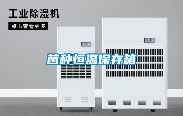菌种恒温保存箱