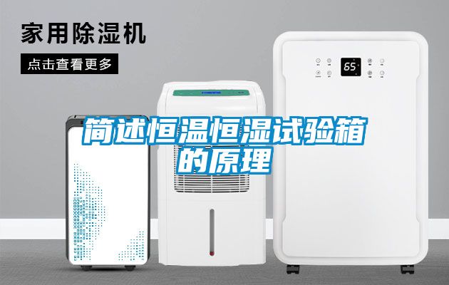 简述恒温恒湿试验箱的原理