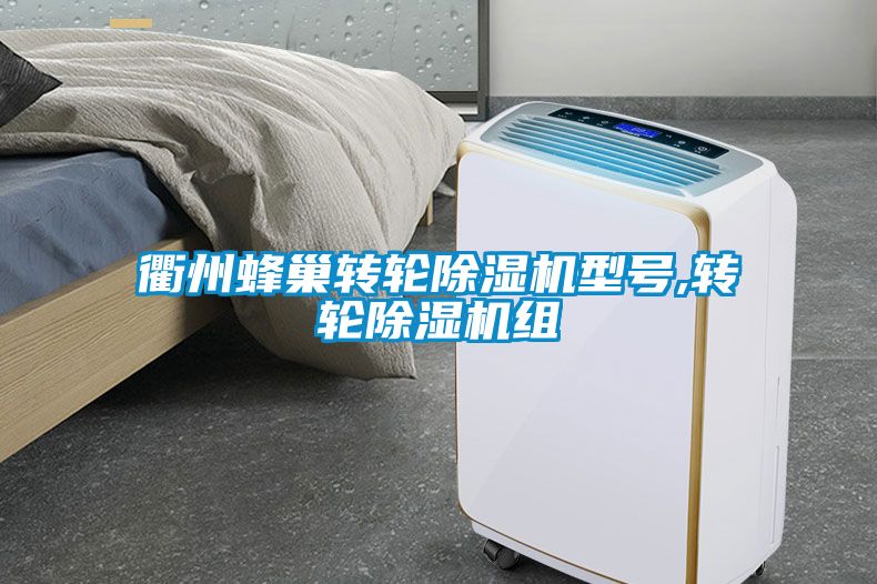 衢州蜂巢转轮除湿机型号,转轮除湿机组