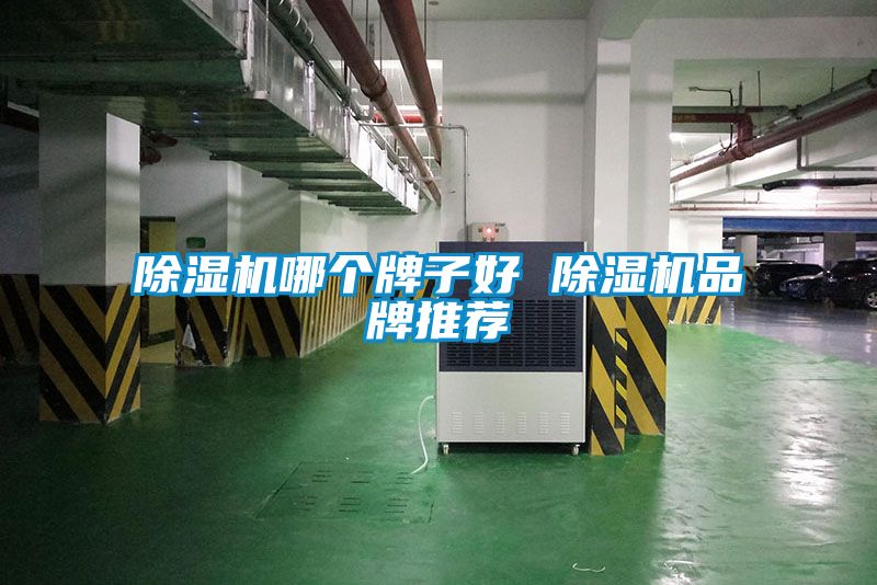 除湿机哪个牌子好 除湿机品牌推荐