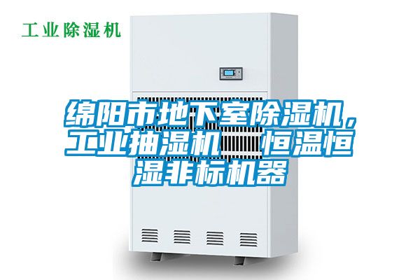 绵阳市地下室除湿机，工业抽湿机  恒温恒湿非标机器