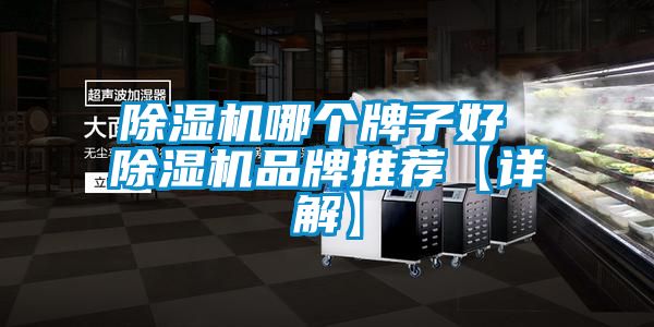 除湿机哪个牌子好 除湿机品牌推荐【详解】