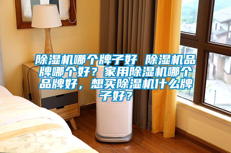 除湿机哪个牌子好 除湿机品牌哪个好？家用除湿机哪个品牌好，想买除湿机什么牌子好？