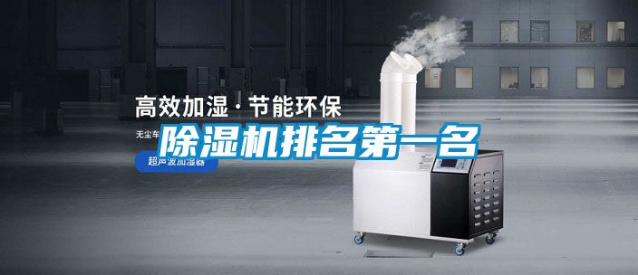 除湿机排名第一名