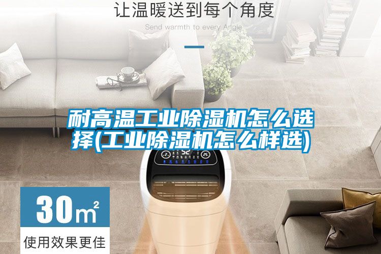 耐高温工业除湿机怎么选择(工业除湿机怎么样选)