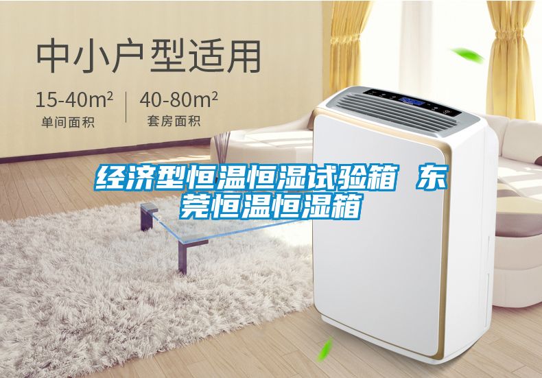 经济型恒温恒湿试验箱 东莞恒温恒湿箱