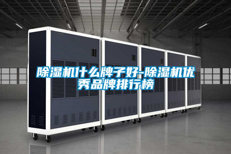 除湿机什么牌子好-除湿机优秀品牌排行榜