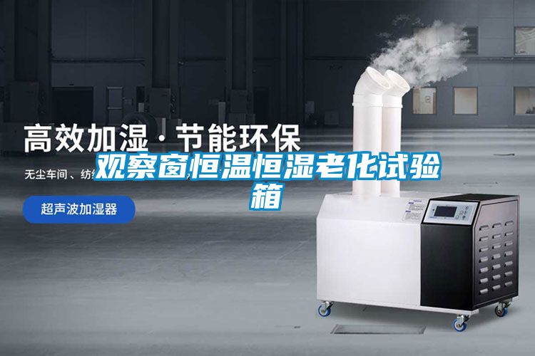 观察窗恒温恒湿老化试验箱