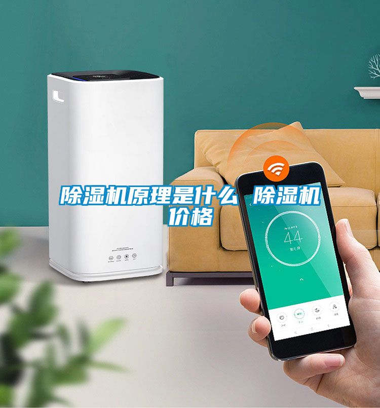 除湿机原理是什么 除湿机价格