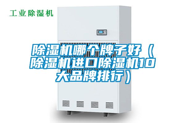 除湿机哪个牌子好（除湿机进口除湿机10大品牌排行）