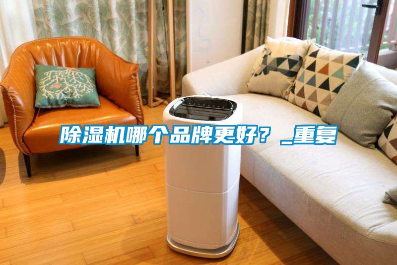 除湿机哪个品牌更好？_重复