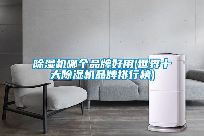 除湿机哪个品牌好用(世界十大除湿机品牌排行榜)