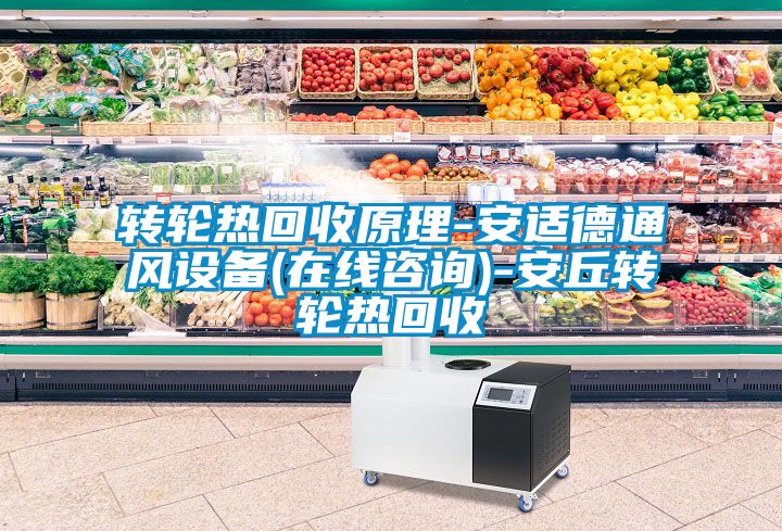 转轮热回收原理-安适德通风设备(在线咨询)-安丘转轮热回收