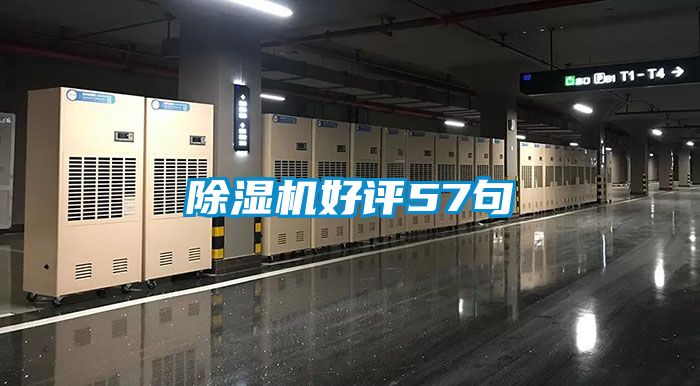 除湿机好评57句