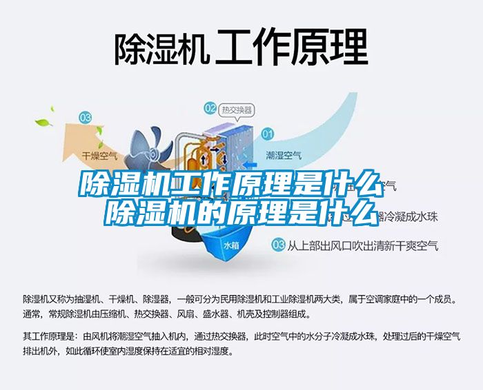 除湿机工作原理是什么 除湿机的原理是什么