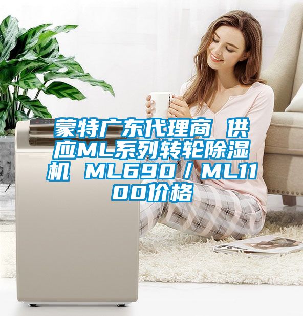 蒙特广东代理商 供应ML系列转轮除湿机 ML690／ML1100价格