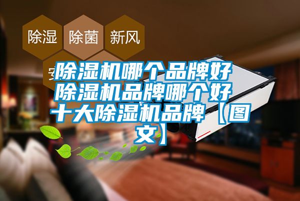 除湿机哪个品牌好 除湿机品牌哪个好 十大除湿机品牌【图文】