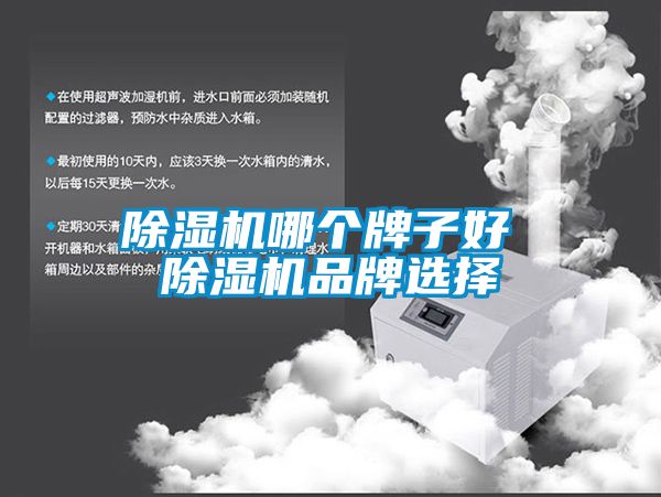 除湿机哪个牌子好 除湿机品牌选择