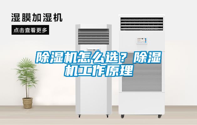 除湿机怎么选？除湿机工作原理