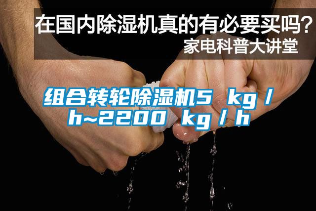 组合转轮除湿机5 kg／h~2200 kg／h